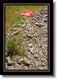 Nose Landing * Nose landed out of the creek itself, and was unscathed despite all the rocks. * 2000 x 3008 * (3.22MB)